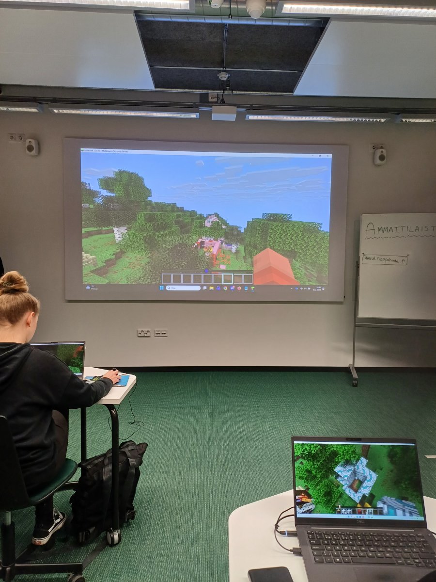 Ammattilaistyöpajassa pelattiin Minecraftia.